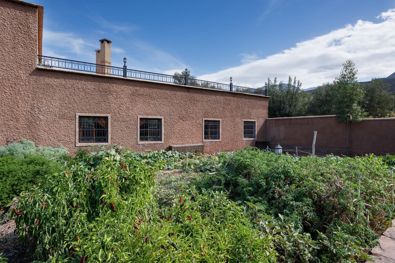 Ouirgane Ecolodge מראה חיצוני תמונה